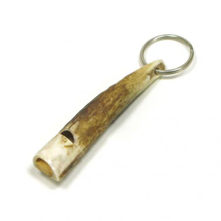 Pack of 2 CARABINERS 8 CM - blue and green