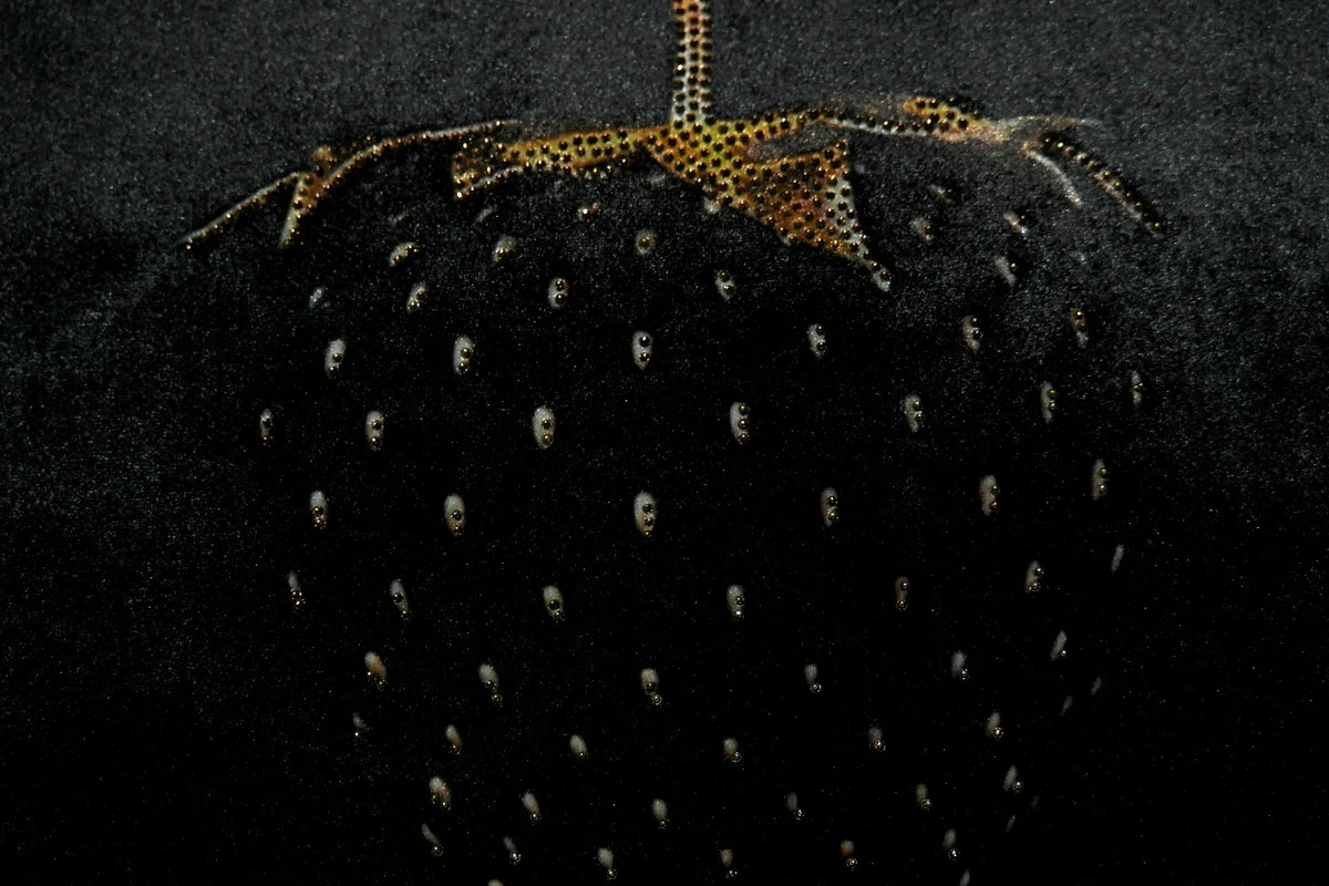 Luxury decorative cushion Strawberry with Bling Bling glitter stones black / gold 35 x 55 cm - Finest velvet fabric - Luxury decorative accessories