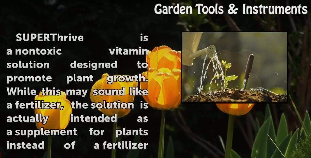 SUPERthrive VI30182 Plant Vitamin Solution, 5 Gallon